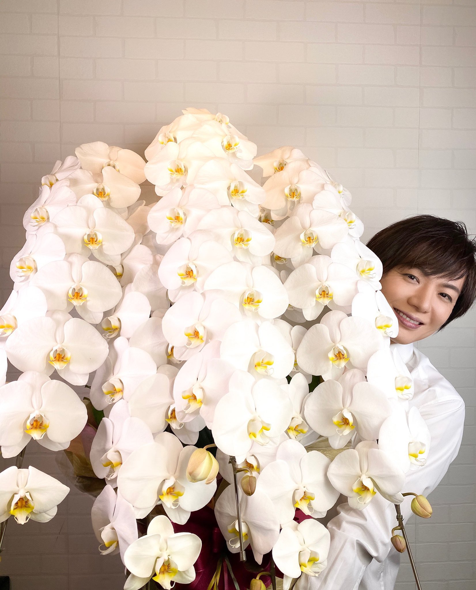 竹島宏スタッフ 公式 胡蝶蘭 花言葉は 幸福が飛んでくる 新しい年にぴったり 華やかで縁起の良い花言葉 世界中の皆さんへ たくさんの 幸せが訪れますように 今日も１日お疲れ様でした ひろネット 花言葉 花便り 花 胡蝶蘭 幸せが