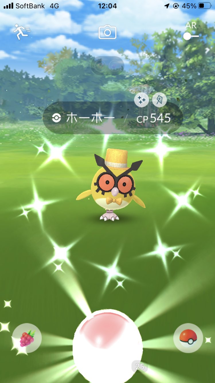 けーたに ポケモンgo新潟 赤 Tl50 ポケモンgo 1 2 日 キュレム 100 New レイド キターッ フーパと同じく姿を変えてホワイトキュレムorブラックキュレムになるのか それとも別個体として実装されるのか どっちにしろ卒業でok