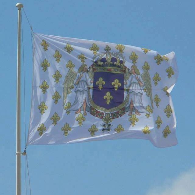 JeanLeChouan's tweet photo. Mon seul et unique #Drapeau , celui de la France éternelle et glorieuse
Le blanc pour la Paix
Les Anges, Gardiens et soutiens du Royaume
La pureté des Lys
Le Bleu royal de la France 
 #ArcDeTriomphe #ViveLeRoi https://t.co/wjDtXCllr7