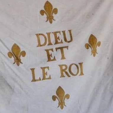 JeanLeChouan's tweet photo. Mon seul et unique #Drapeau , celui de la France éternelle et glorieuse
Le blanc pour la Paix
Les Anges, Gardiens et soutiens du Royaume
La pureté des Lys
Le Bleu royal de la France 
 #ArcDeTriomphe #ViveLeRoi https://t.co/wjDtXCllr7