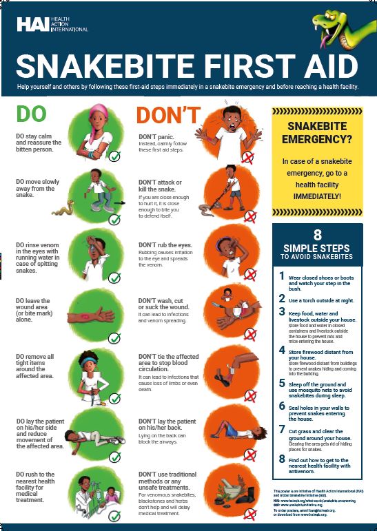 Health Action International tweet media