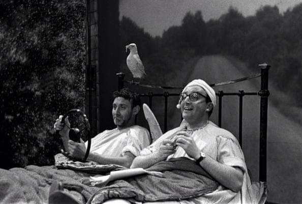 PeterFandom's tweet photo. Good morning Twitter .🌞
#AShowCalledFred #SonOfFred aired in May &amp; Sept 1956. Written by #SpikeMilligan
Dir. #RichardLester. 
A groundbreaking show with its lunatic humour pushing the  boundaries of the time. 
#PeterSellers #GrahamStark #KennethConnor #ValentineDyall #MaxGeldray https://t.co/qgrnZwuZsd