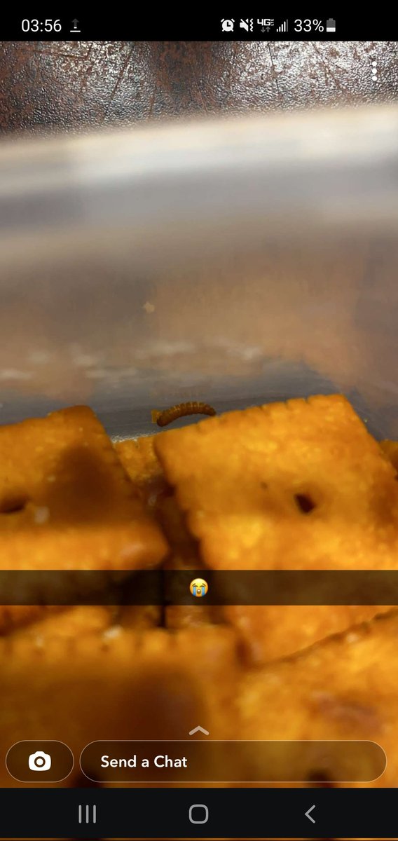 Tyler_Itzkowitz's tweet photo. When you pack your partner some extra toasty @cheezit with their dinner and they get an unwelcomed extra toasty pal #Crying https://t.co/TYBIzTB59k