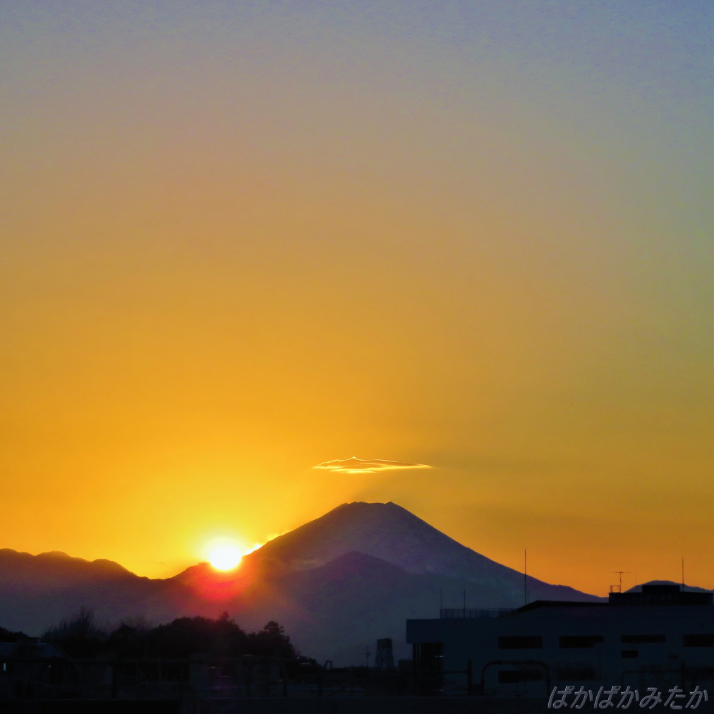 TMitaka's tweet photo. 1/2

夕空に願いを

　穏やかな一夜になりますように

本年も宜しくお願い致します

小金井市本町より　16：21・29・39
　
https://t.co/cE2fHwOUJf https://t.co/YVFRThnxSv