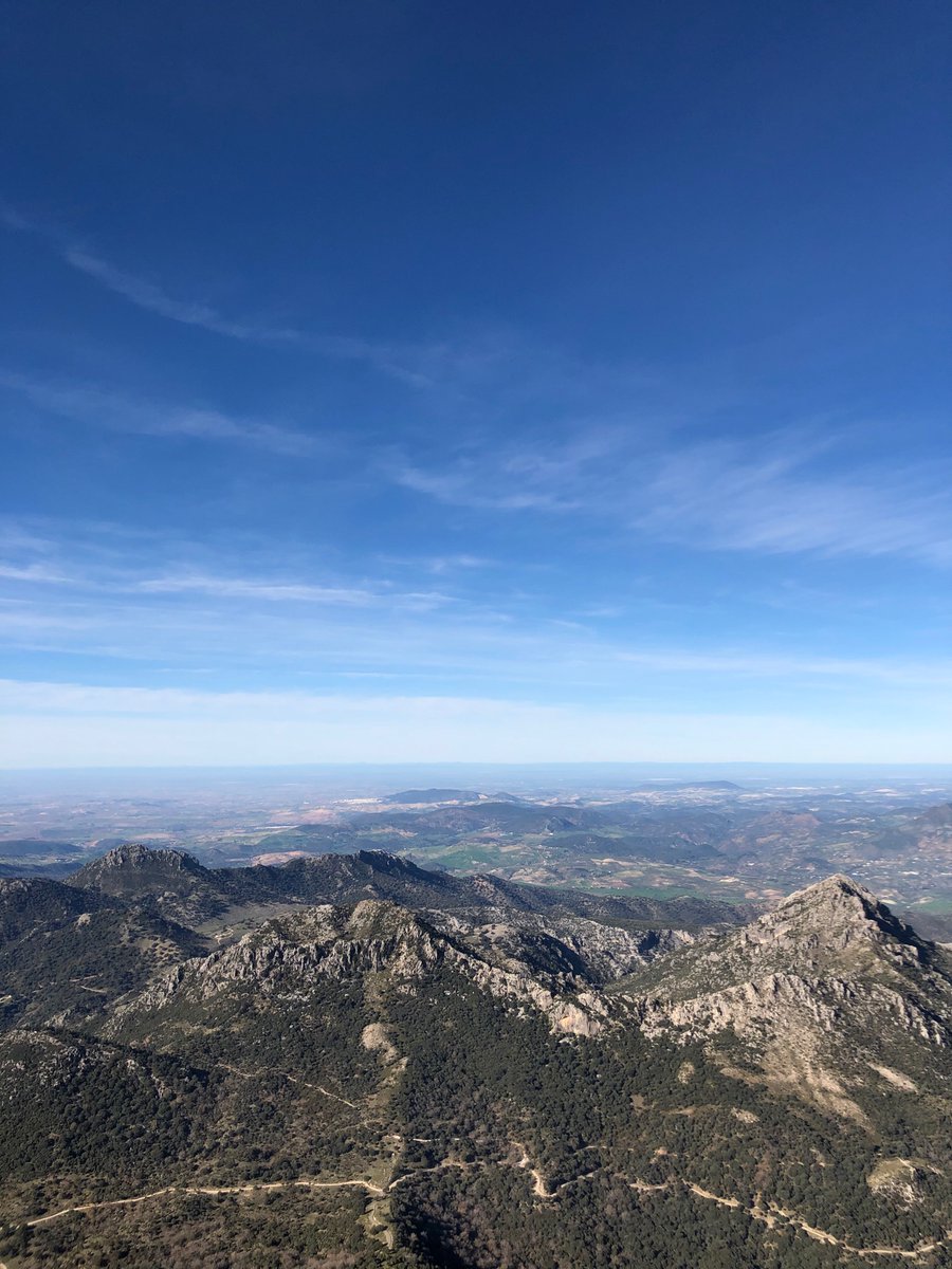 Teresa🌸 tweet media