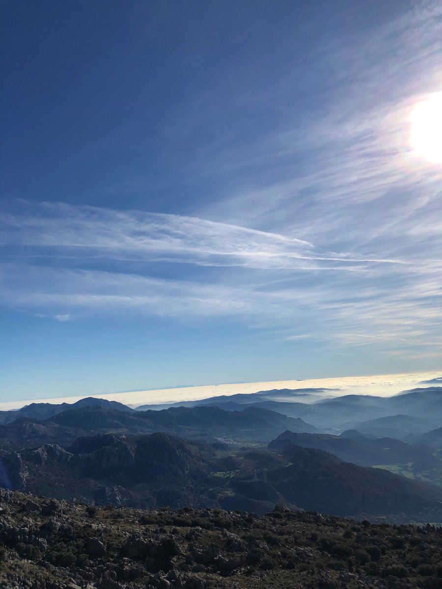 Teresa🌸 tweet media