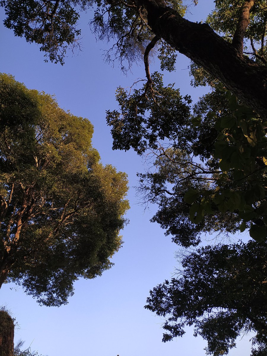 geuice_'s tweet photo. Nature and some J.Cole songs😌 https://t.co/21Qa9UflYI