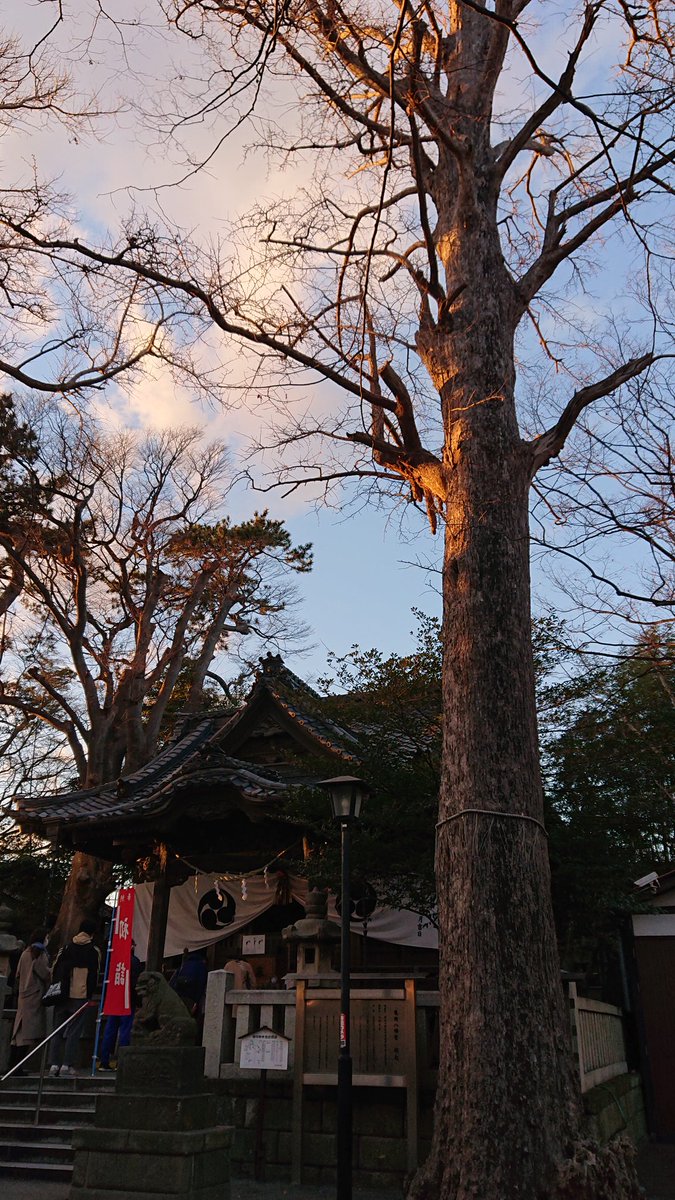 JapaneseMom48's tweet photo. January 2 https://t.co/hGWIFrCaTF