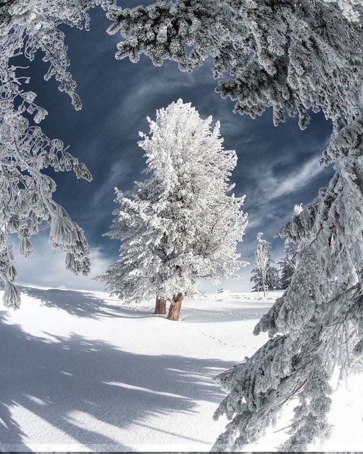 ✨Let light shine out of darkness✨delightful Sunday☀️
                    💫⭐️💫
#nature #NatureBeauty #photography #nature撮影会