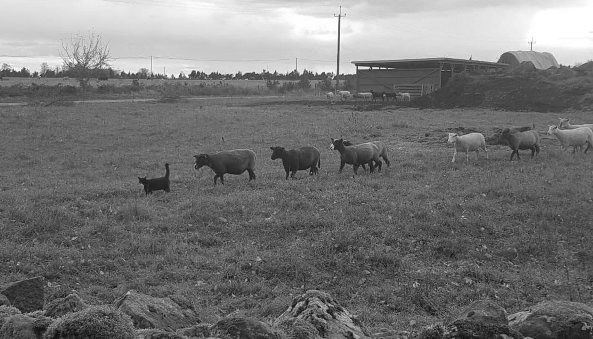 Without downloading any new pics, what's your energy going into 2022?