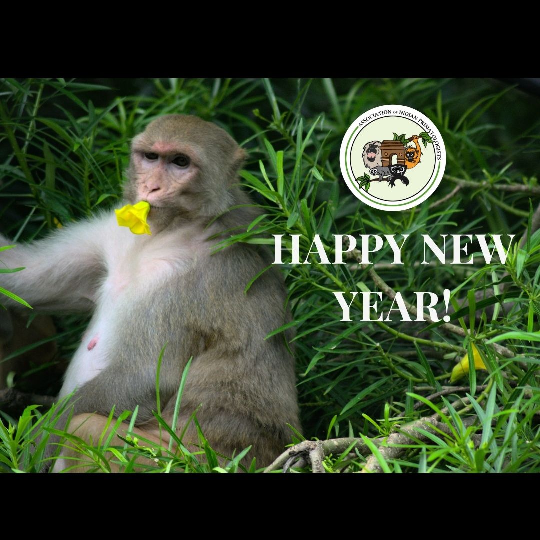 IndianPrimates's tweet photo. Wish you all a happy new year from AIP! We hope this year is kinder, warmer and filled with love for all our fellow primates!
📷@taniyagill2
#primates #indianprimates #newyear #scicomm https://t.co/ZAgebUoDC3
