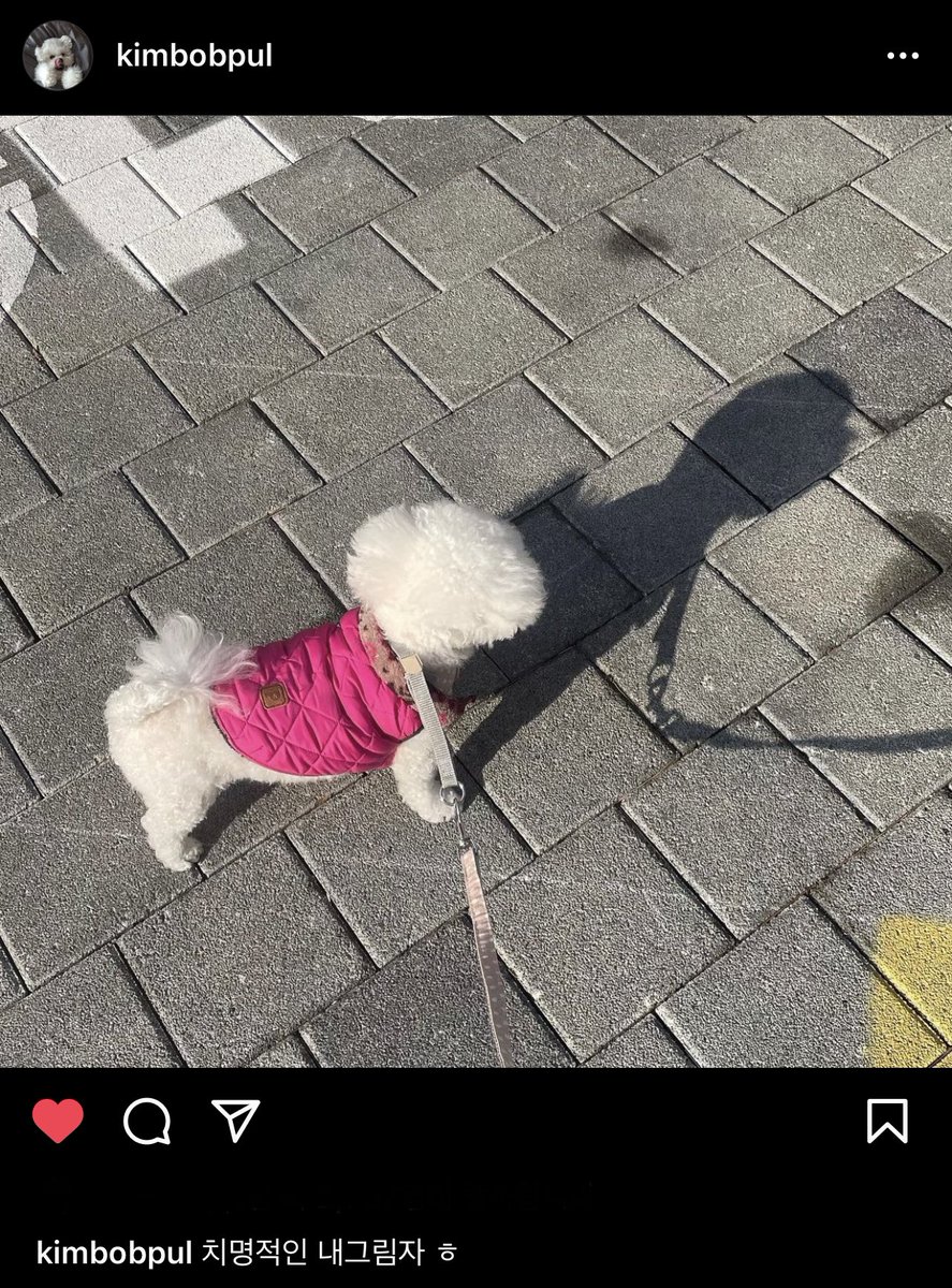 밥풀이 말투도 밍규같네…