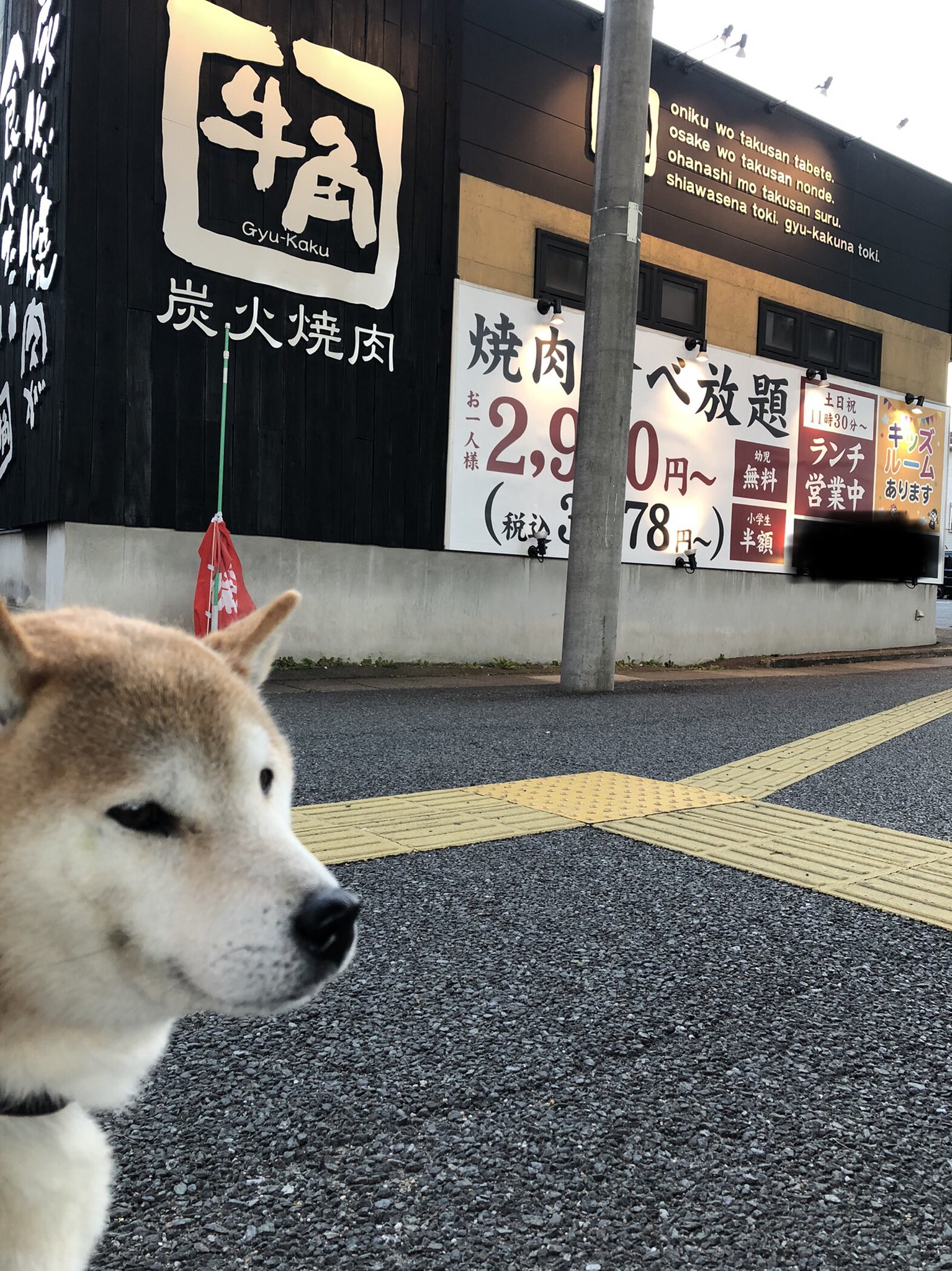 牛角 公式アカウント Gyukaku29 Twitter