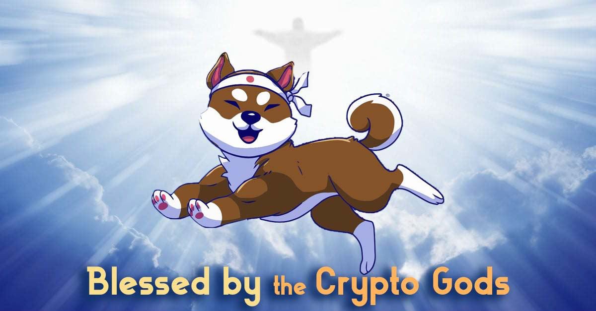 ShakAttack666's tweet image. Let’s do a giveaway, I’ll give 1 lucky random winner 50K in $SHAK @ShakitaInu . You only need to Like,retweet and follow me. When I get to 100 followers I’ll do the giveaway 💎 @SHAKPUGZNFT