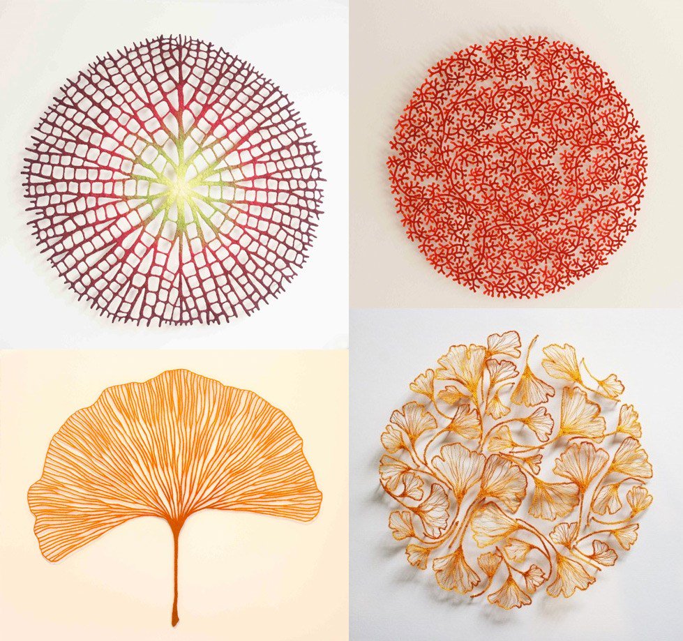 womensart1's tweet photo. Australian artist Meredith Woolnough's delicately embroidered sculptures express aspects of nature #WomensArt https://t.co/LG1VLe5LNz