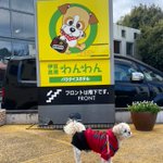 ツイートに含まれる画像