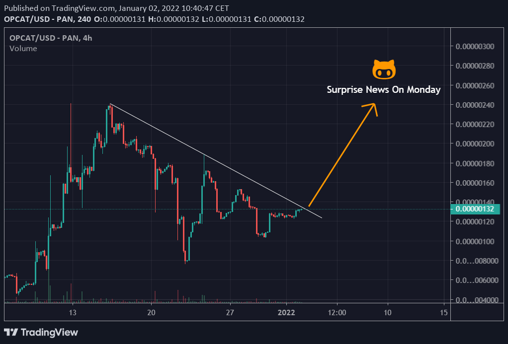 BigBagGoblin's tweet photo. $OPCAT is SO close to the most historic breakout of the chart 📈

Surprise news coming tomorrow 👀

Besides from that the project has better FA than ever 🚀

$feg $htr $metis $gm $jade $strong $vra $hex $mcc $kiba $icx $vader $mong $sos $vader #webfour $refi $time $xpr https://t.co/TiaZfk4lqE