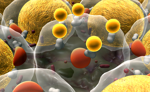 touchENDOCRINE's tweet photo. Diagnosis and Clinical Management of Long-chain Fatty-acid Oxidation Disorders: A Review...
Learn more: https://t.co/OHlASAmZo1
#LCFAODs #betaoxidation #newbornscreening #nutrition #endo https://t.co/4dyJqBLBDk