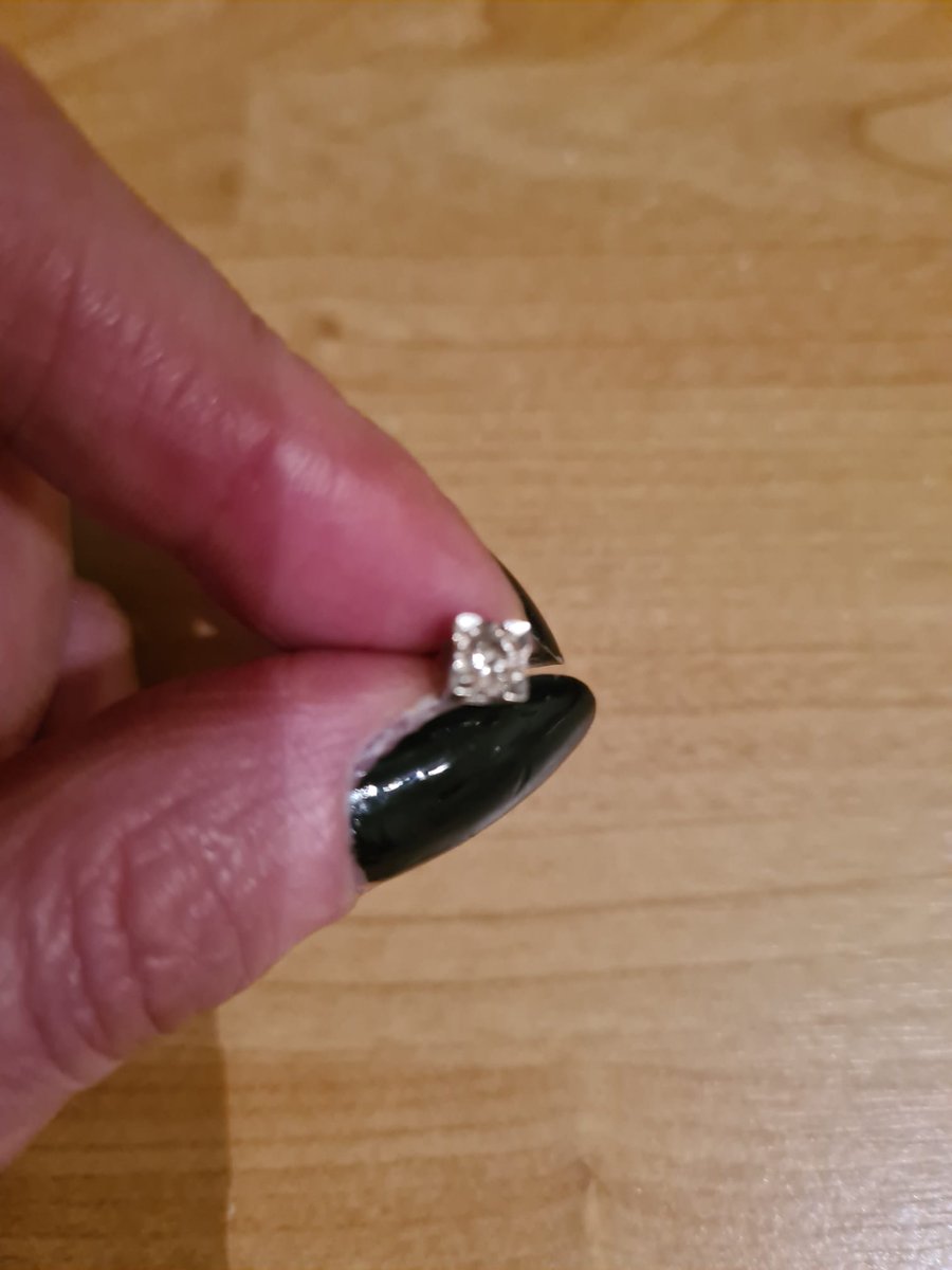 tweets_by_kb's tweet photo. Yesterday @RHSWisley #Glow my sister lost a diamond earring in the toilets nr the entrance. They were a 30th birthday gift from our parents -our Dad died 8 yrs ago- they have huge sentimental value. If you find it please contact information #lostearring #WisleyGlow https://t.co/K3aIvidLXf