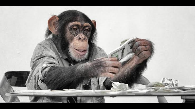 Maymunlarla yapılan bir deneyde, maymunlar para kullanımına alıştırılınca zamanla hırsızlık, gasp yapmaya başlamışlar.