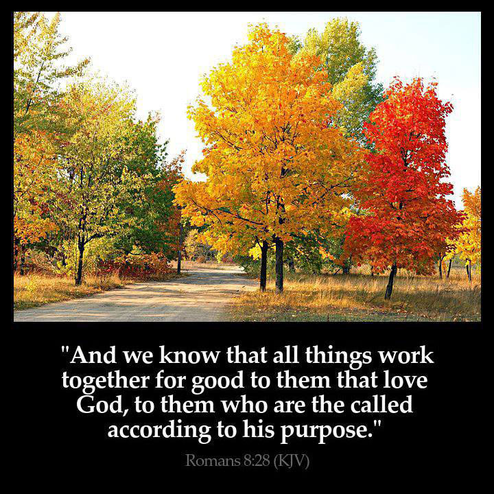 우리가 알거니와 하나님을 사랑하는 자 곧 그 뜻대로 부르심을 입은 자들에게는 모든 것이 합력하여 선을 이루느니라
