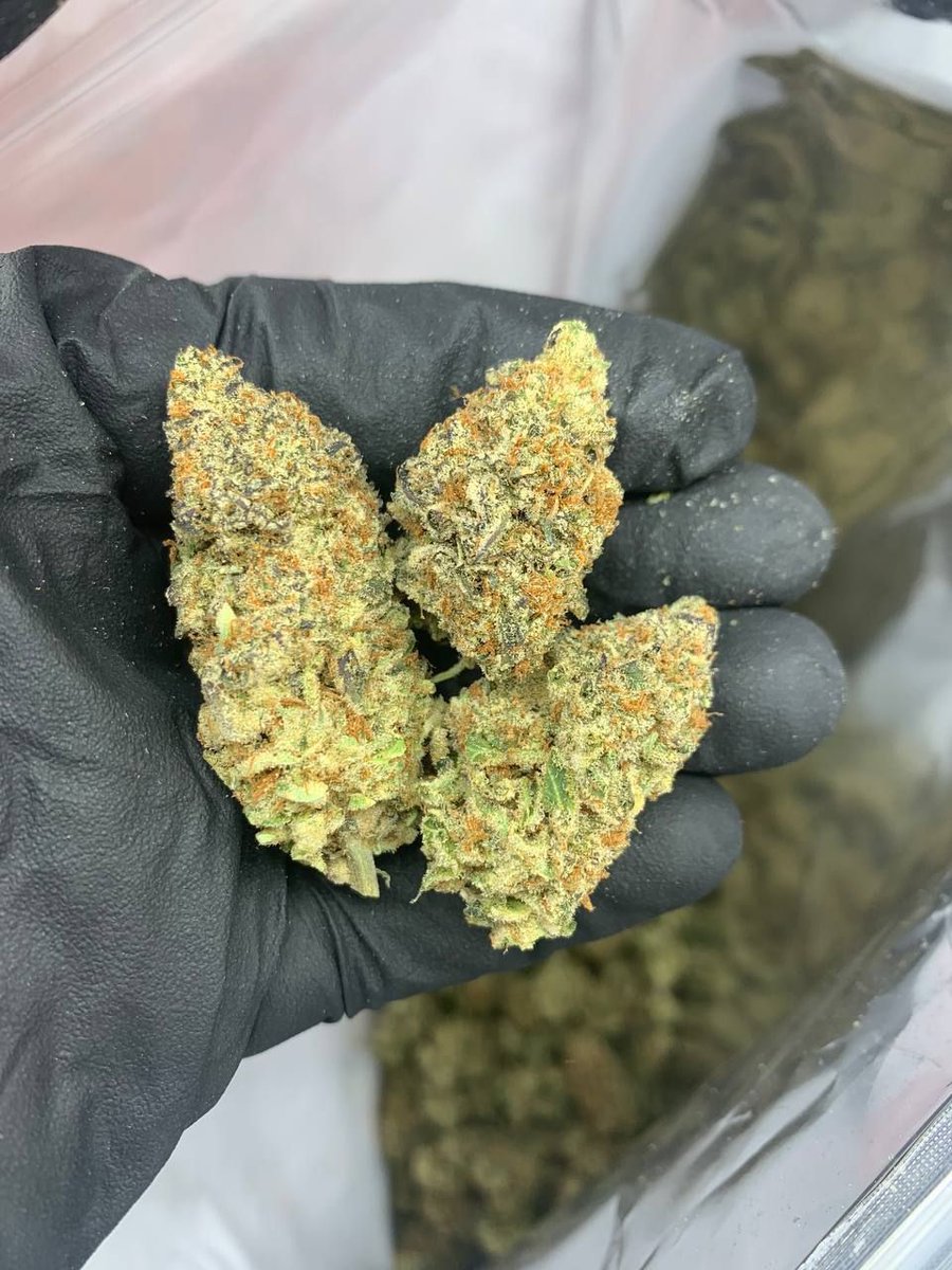 Franceweedbeuh's tweet photo. 🌿🔫🗡💵💳Bon plan pour vous la fafa tout est carré livraison 🚚24/7🇫🇷🇧🇪 snap :hkushcoffee22 Wickr me:caliweed245 8💯🔞
#100Daysofcode #PSG #Bordeaux  #nuitdebout  #Globaldebout #LOSC #Lyon #mrproverbe #Javascript #lille #paris #4tchat #citation #Linux #Rennes #aix https://t.co/wQiFMdIOjp