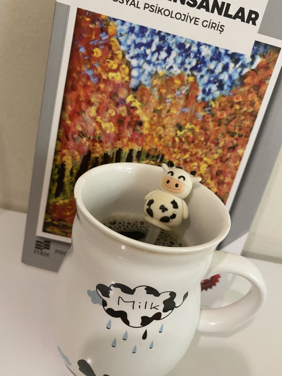 Akademik hayatımı yoluna koymak için gerekeni yaptım bence