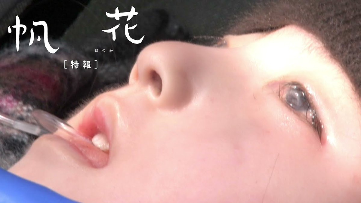 土岐小映⚓️ρꛅᘿ𖦪ﺃ ʍ tweet media