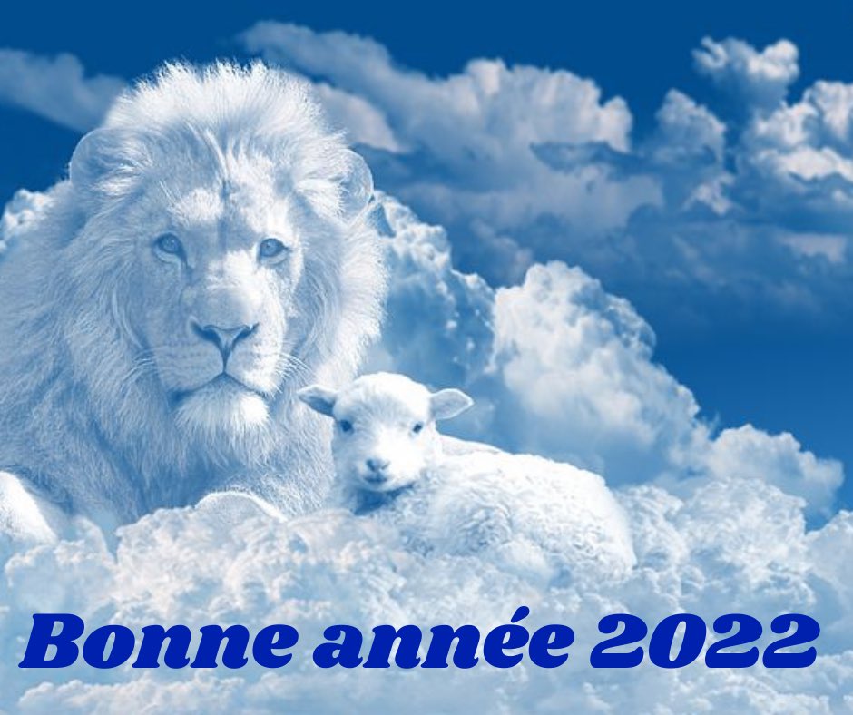 ericfanino's tweet photo. Bonne année https://t.co/fhGGk5Qplm