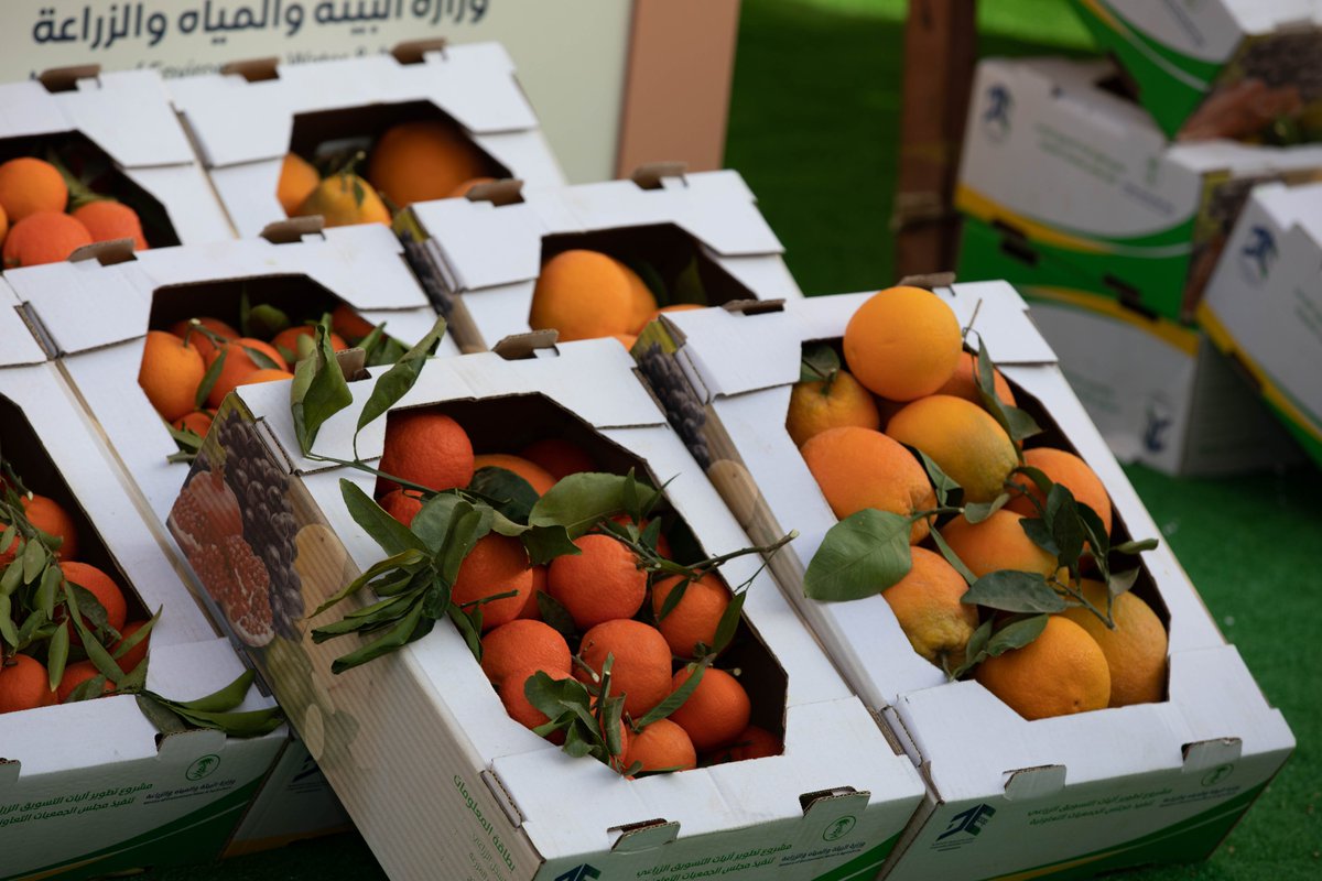 oranges_hail's tweet photo. #مهرجان_برتقالة_حائل مثَّل حلقة الوصل بين المزارعين والزائرين، وترابط مزارعي حائل باهلها، وعمق التواصل بين منطقة حائل وبقية مناطق المملكة، إضافة إلى كون المهرجان  مثل منصة معرفة عميقة بـ #برتقالة_حائل العريقة.

كونوا في موعد قادم ونسخة جديدة تتميز بحضوركم🤗 https://t.co/Dx6J5eypBK