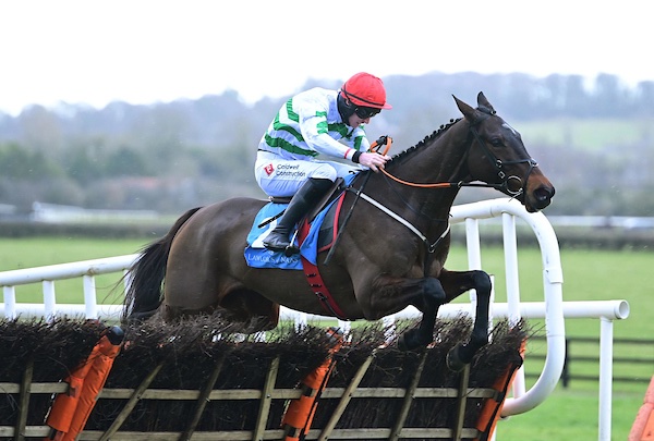 Delighted to give Noel & Valerie Moran their first Gr1 winner as Ginto takes the Lawlors Of Naas Novice Hurdle @NaasRacecourse under @jackkennedy15 🏆 @ecomm365