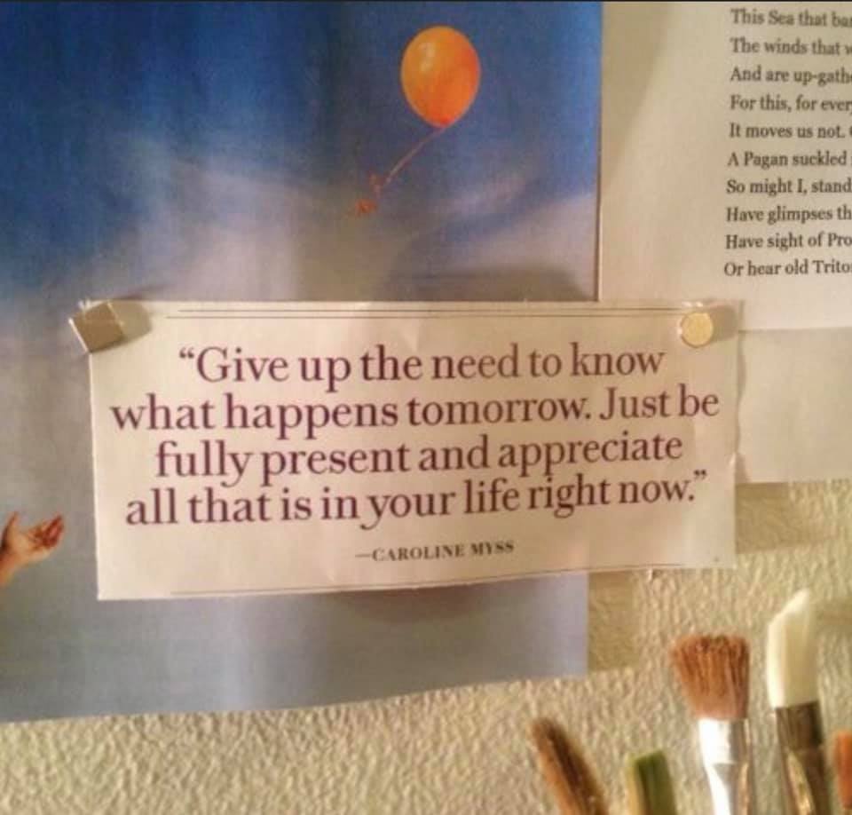 Nanaimo Dragon Boat (@ndbfs) on Twitter photo 