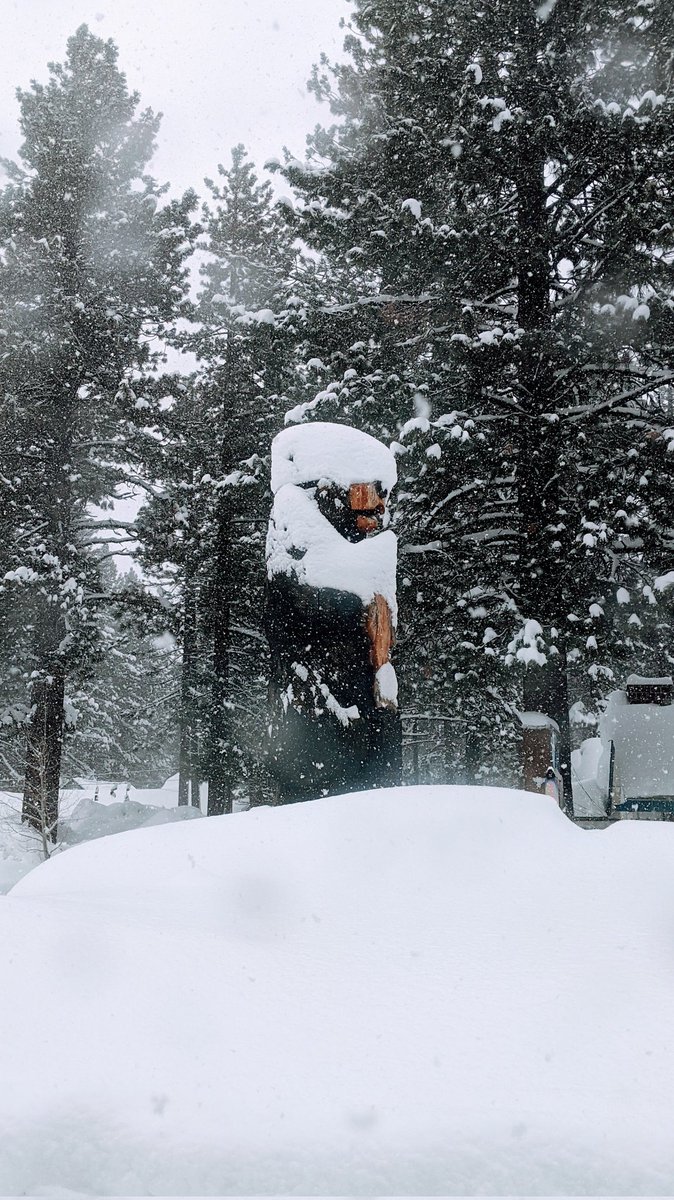 monpensees's tweet image. Scarfed bear - stay warm #Tahoe. #Tillnexttime #skication #familyfun