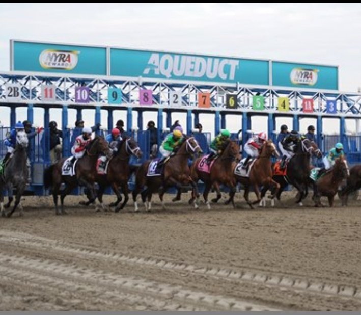 LiderKenny's tweet photo. 🐎ATENCIÓN🐎

Para todos nuestros seguidores hoy segundo día del 2022 la asesoría para #GulfstreamPark #SantaAnitaPark y #Aqueduct sera totalmente gratis si logramos llegar a 60 RT.. Let'S Go Van a disfrutar de la mejor información de este negocio...

💰💶(Dale RT)💶💰

#Hipismo https://t.co/rWlFdRyq3N