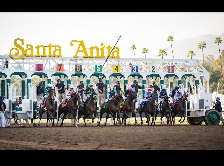 LiderKenny's tweet photo. 🐎ATENCIÓN🐎

Para todos nuestros seguidores hoy segundo día del 2022 la asesoría para #GulfstreamPark #SantaAnitaPark y #Aqueduct sera totalmente gratis si logramos llegar a 60 RT.. Let'S Go Van a disfrutar de la mejor información de este negocio...

💰💶(Dale RT)💶💰

#Hipismo https://t.co/rWlFdRyq3N