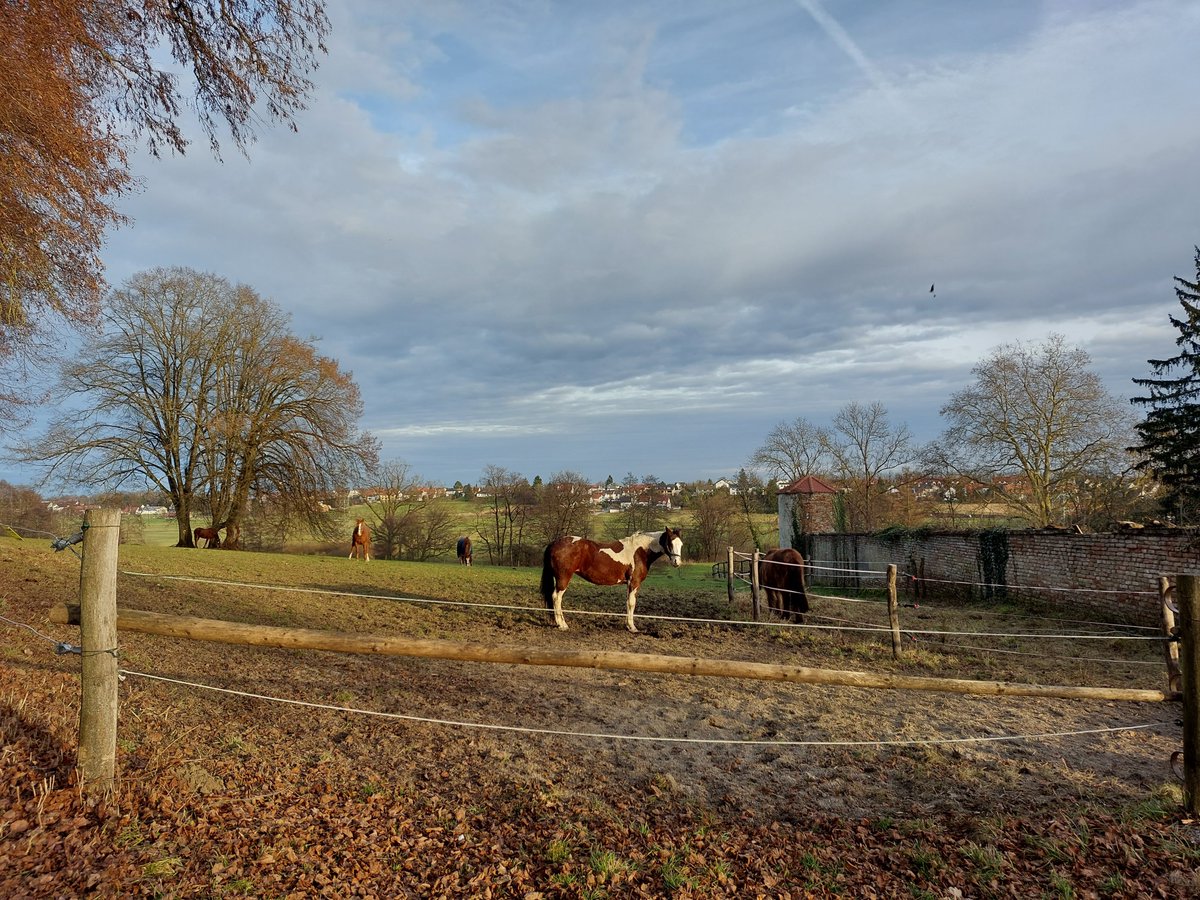 stellapierides's tweet photo. From this afternoon's #walk around #Hammel, a beautiful part of #Neusaess. There's a #haiku somewhere ... https://t.co/5Kr5elhQ0B