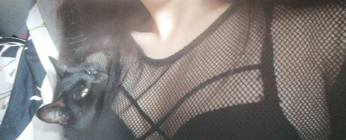 QLadymarie's tweet photo. Ich will dein Geld und ich will es jetzt nicht morgen, heute Abend oder nästen Monat, wander in die DM's 🐷👊
#Findom #feetfetish #Monedom https://t.co/VLGqBkk2PT