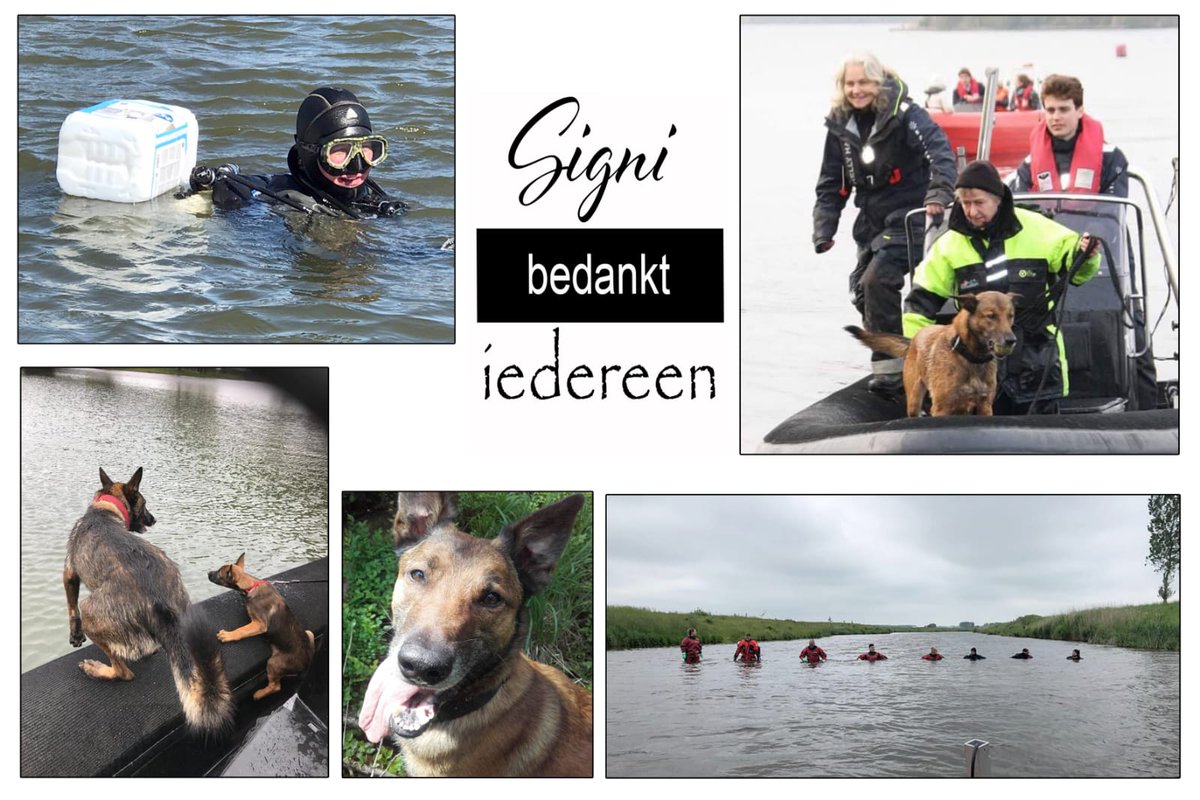 Signizoekhonden's tweet photo. Geen geliefde is zo aanwezig, als een dierbare welke gemist wordt...
https://t.co/oxgshvc4a7 https://t.co/LNsqOzxfgi
