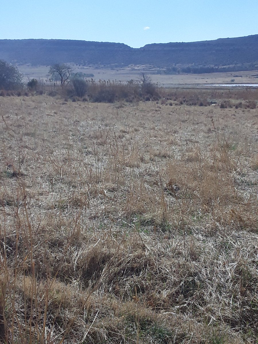 MolemoTau3's tweet photo. @JColeNC help a young brother out man i aint no musician but am a farmer the black man strugglexreal everywhere.
Where am from for a blackman to own land is rare and i dnt want it to get in the hands of banks https://t.co/CwnWy9tfKO