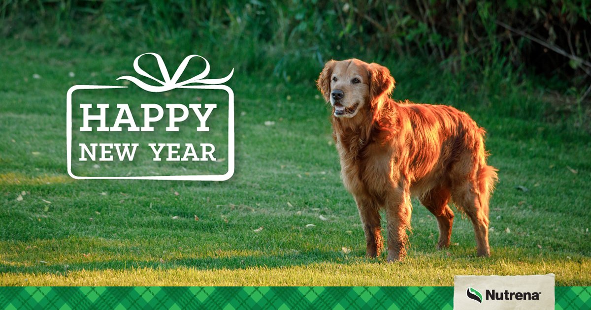 Sometimes, it seems like we take better care of our pets than ourselves so making a New Year's resolution with your pet may increase the likelihood of following through. bit.ly/3EJ5F4R