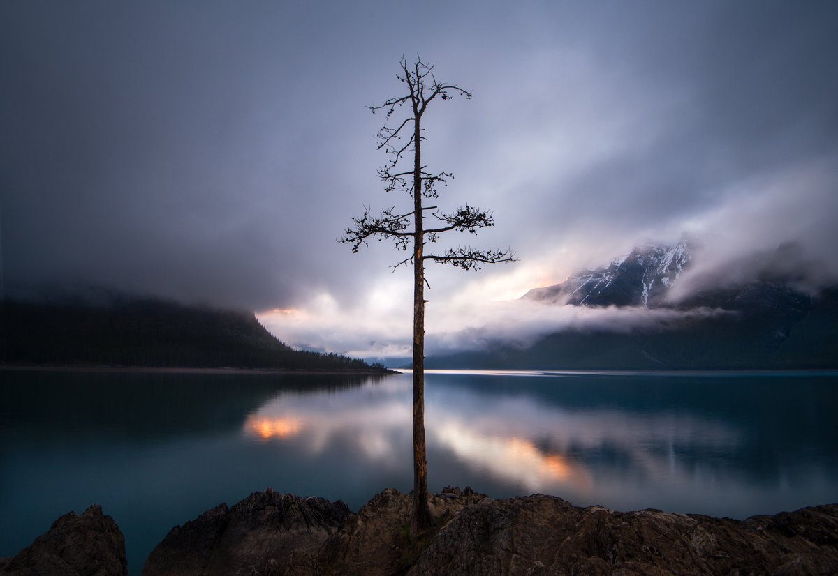 James Andrew tweet media