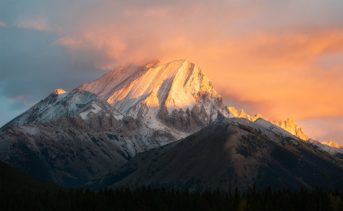 James Andrew tweet media