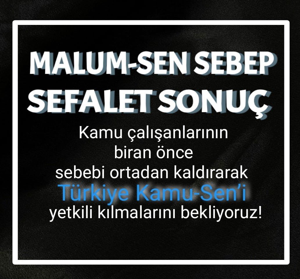 seb_ozturk tweet picture
