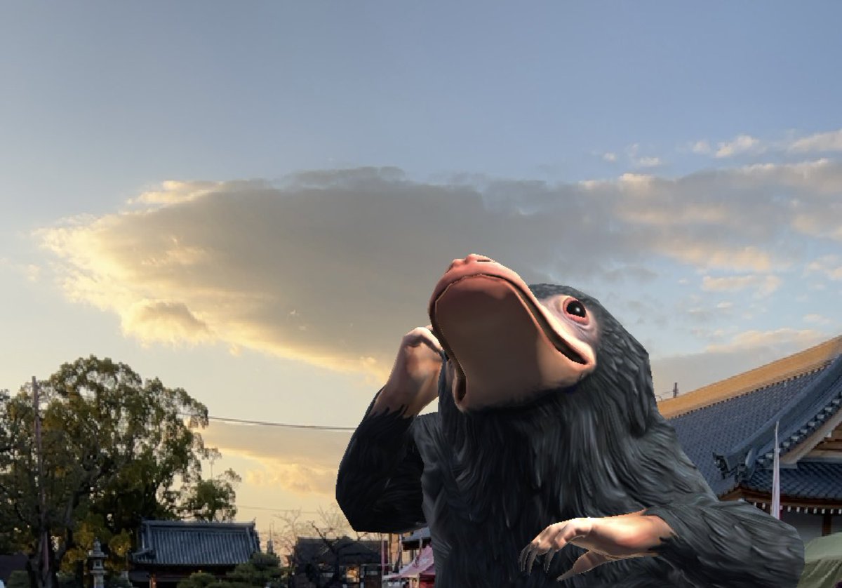 I wish you a Happy New Year‼︎
#WizardsUnite  #魔法同盟