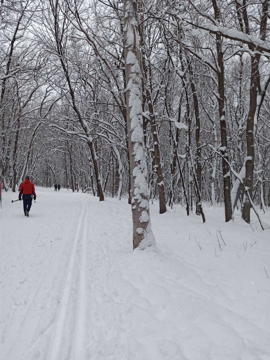 Управляющий микрорайоном №21 (Кировский район) tweet media