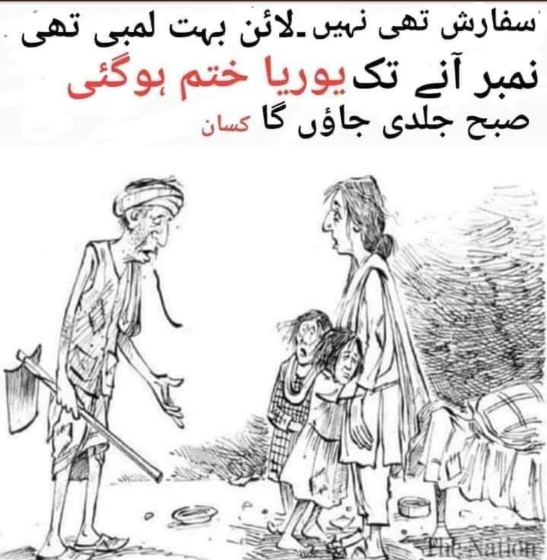 Aqsa Aziz Jamali tweet media