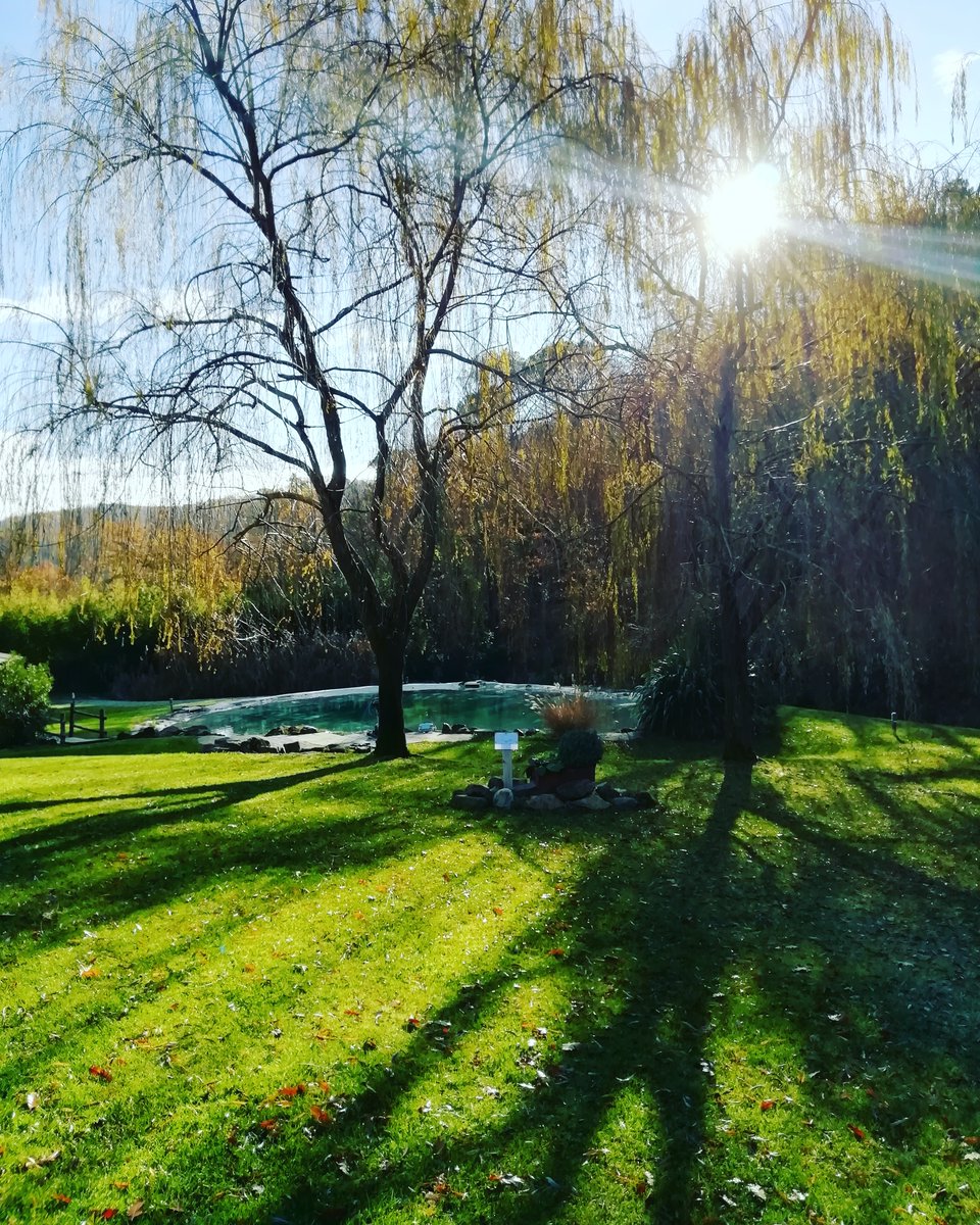 LebbianoResiden's tweet photo. Felice 2022 dal @LebbianoResiden #firenze #resort #auguri #tantiauguri #buonanno #2022 #sole #sun #pool #piscina #trees #bosco #garden #giardino #passione #lavoro #work #vacanza #aperti #open #picture #fotografia #picoftheday #toscana #italia https://t.co/2AS4lFerX9