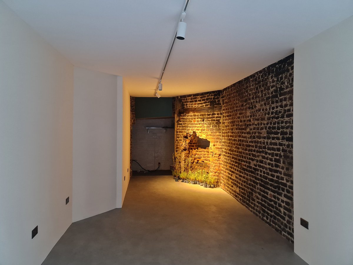 Alastair Hilton tweet media