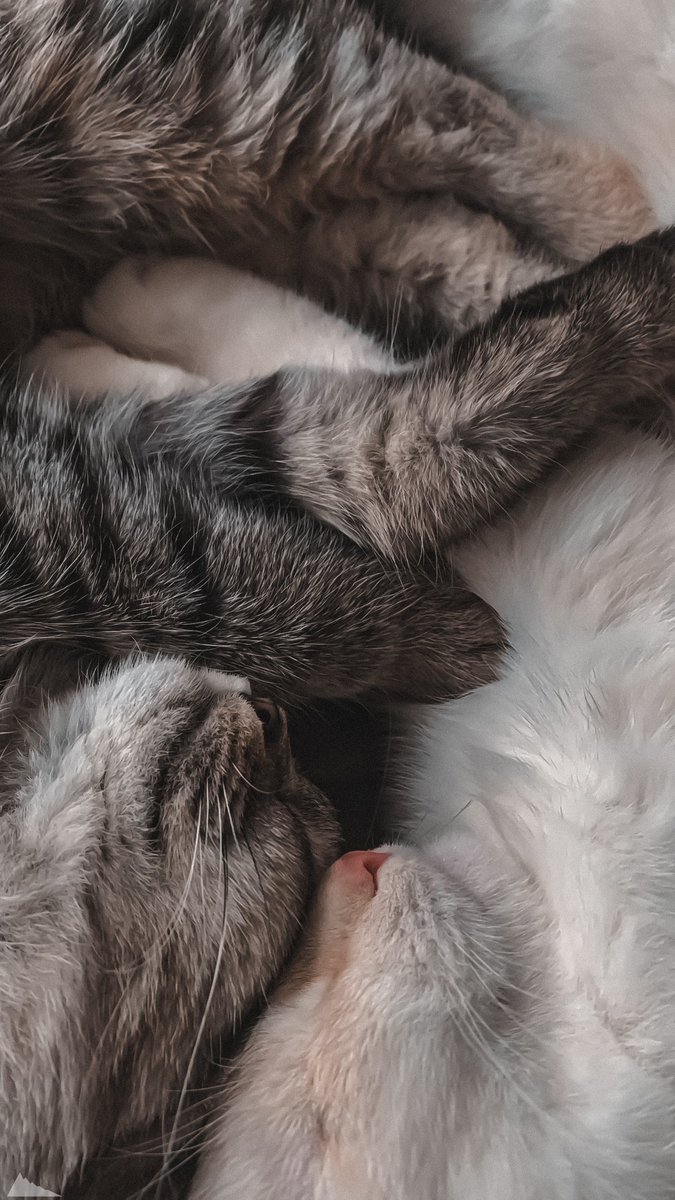 Зимняя цепочка твиттерских 🌨️💙
❄️Читай меня #взаимно
❄️Делай ретвит
❄️Читай ретвитнувших
Не мёрзни 🥶🧣
#цепочкатвиттерских
#ЦепочкаФолловеров