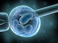 profmpagi's tweet photo. Fertility spells https://t.co/3lU9HXmB53

#infertility #fertility #fertilityspells #pregnancy #impotence #pregnancyspells #infertilityinmen #infertilityinwomen https://t.co/3eO3irGu4x